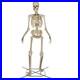 12_Ft_Skeleton_LED_Illuminated_Poseable_Arms_Home_Decor_Halloween_Indoor_Outdoor_01_vmjn