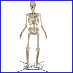 12 Ft Skeleton LED Illuminated Poseable Arms Home Decor Halloween Indoor/Outdoor