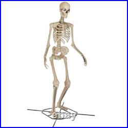 12 Ft Skeleton LED Illuminated Poseable Arms Home Decor Halloween Indoor/Outdoor