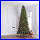 12_ft_Douglas_Fir_Pre_lit_Traditional_Artificial_Christmas_Tree_Holiday_Living_01_rdw