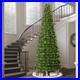12_ft_Pre_Lit_Sheridan_Sure_Lit_Pole_Slim_Pine_Christmas_Tree_800_Color_Changin_01_gif