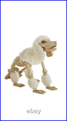 17 Skeleton Poodle Dog LED Eyes Home Accents Depot Pair Puppy