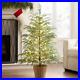 2024_My_Texas_House_Potted_4FT_Pre_Lit_Cypress_Tree_100_Twinkle_LED_Lights_01_zfq