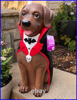 2026 Home Depot Home Accents Labrador Vampire Halloween Dog 2.5ft Blow Mold LED
