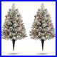 24_Inch_Outdoor_Christmas_Tree_Frosted_Urn_Filler_2_Set_Pre_lit_Artificial_X_01_abe