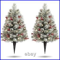 24 Inch Outdoor Christmas Tree Frosted Urn Filler 2 Set, Pre-lit Artificial X