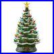 24_Pre_Lit_Ceramic_Christmas_Tree_Hand_Painted_Tabletop_with_Lights_Green_Snow_01_fb