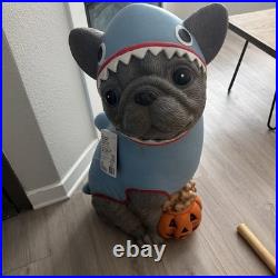 2.5 ft Halloween Classics Hand-Painted LED Gray Frenchie in Shark Greeter