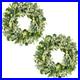 2_Pack_Green_Eucalyptus_Leaf_Wreaths_24_Inch_Artificial_Spring_Summer_Wreath_01_jwu