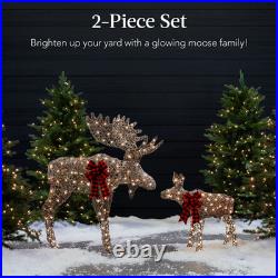 2-Piece Moose Family, Lighted Rattan Christmas Rattan-Inspired Yard Decoration S