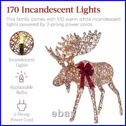 2-Piece Moose Family, Lighted Rattan Christmas Rattan-Inspired Yard Decoration S