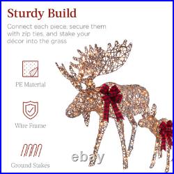 2-Piece Moose Family, Lighted Rattan Christmas Rattan-Inspired Yard Decoration S