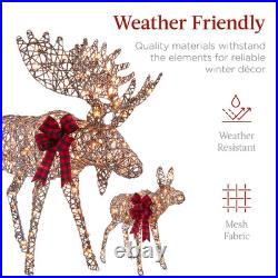 2-Piece Moose Family, Lighted Rattan Christmas Rattan-Inspired Yard Decoration S