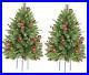 2_Set_30_Inch_Outdoor_Christmas_Tree_Pre_Lit_LED_Christmas_Porch_Decorations_01_zxdr