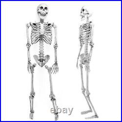 2x5.6ft Halloween Skeleton Full Life Size Party Tricky Decoration Indoor Outdoor