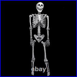 2x5.6ft Halloween Skeleton Full Life Size Party Tricky Decoration Indoor Outdoor