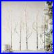 30_LIGHTED_BIRCH_GROVE_Tree_White_88_LED_Steady_Twinkle_Christmas_RAZ_3800927_01_wkc