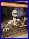 35_Groundbreaking_Skeleton_Decorations_for_Yard_NewReady_for_pick_up_only_01_dv