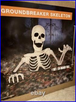 35 Groundbreaking Skeleton Decorations for Yard NewReady for pick up only 35 Groundbreaking Skeleton Decorations for Yard NewReady for pick up only