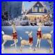 3Piece_Prelit_Christmas_Reindeer_Family_Outdoor_Yard_Decoration_Lighted_Deer_Set_01_kw