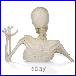 3 Ft. Halloween Groundbreaker Skeleton, Giant Scary Outdoor Yard Decoration