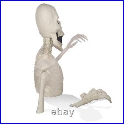 3 Ft. Halloween Groundbreaker Skeleton, Giant Scary Outdoor Yard Decoration