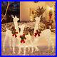 3_PCS_Pre_lit_Christmas_Reindeer_Family_3D_Lighted_Glitter_Deer_Xmas_Decoration_01_edkq