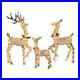 3_Piece_Christmas_Glitter_Deer_Family_Indoor_Outdoor_Holiday_LED_Lawn_Yard_Decor_01_nr