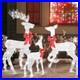 3_Piece_Christmas_White_Reindeer_Family_Lighted_Deer_Set_for_In_Outdoor_Yard_01_liwu