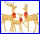3_Piece_Large_Lighted_Christmas_Deer_Family_Set_5Ft_Outdoor_Yard_Decoration_01_ktw