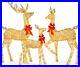3_Piece_Lighted_Christmas_Deer_Family_Set_5Ft_Outdoor_Yard_Decor_with_LED_Lights_01_jwi