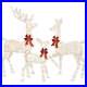 3_Piece_Lighted_Christmas_Deer_Set_Outdoor_Yard_Decoration_with_360_LED_Lights_01_pny