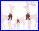 3_Piece_Lighted_Deer_Family_withGarland_210_UL_Lights_Outdoor_Christmas_Yard_Decor_01_luln