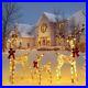 3_Piece_Outdoor_Christmas_Deer_Family_Set_5_Feet_Tall_with_LED_Lights_01_uoej