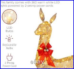 3pc LED Lighted Christmas Deer Family Indoor Outdoor Yard Decoration All Weather