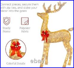 3pc LED Lighted Christmas Deer Family Indoor Outdoor Yard Decoration All Weather