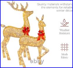 3pc LED Lighted Christmas Deer Family Indoor Outdoor Yard Decoration All Weather