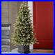 4_5_ft_Pre_Lit_Aspen_Artificial_Potted_Christmas_Tree_01_md