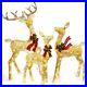 4_6FT_Outdoor_Christmas_Decorations_Deer_Family_Set_3_Piece_Lighted_Christm_01_cuo