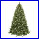 4_8ft_Prelit_Artificial_Christmas_Tree_Carolina_Pine_Xmas_Tree_For_Home_Decore_01_wdq