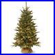 4_Christmas_Tree_Pre_Lit_With_150_White_Lights_Burlap_Base_For_Tabletop_Porch_01_vnnb