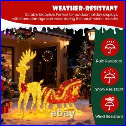 4 FT Lighted Christmas Reindeer & Santa Sleigh Set, Family Outdoor Indoor Xma