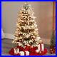 4_Flocked_North_Carolina_Fir_Artificial_Christmas_Tree_with250_LED_s_Retail_218_01_nqav