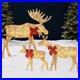 4_Ft_3_Piece_Lighted_2D_Christmas_Moose_Outdoor_Decoration_with_195_LED_Lights_01_rkix