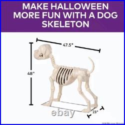 4 Ft. Standing Dog Skeleton Realistic Halloween Decoration with Metal Base