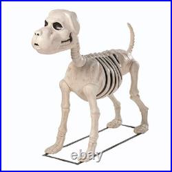 4 Ft. Standing Dog Skeleton Realistic Halloween Decoration with Metal Base