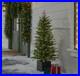 4_ft_Grand_Duchess_Twinkling_Balsam_Fir_Potted_LED_Pre_Lit_Artificial_Tree_01_rgra