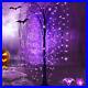 5Ft_Halloween_Tree_Outdoor_Decorations_240_LED_Purple_Lighted_Willow_Tree_with_01_mnw