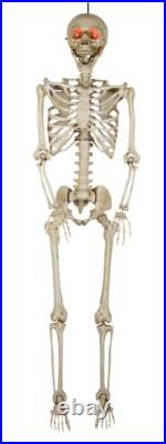5'5 Halloween Poseable Human Size LED Lighted Skeleton Haunted Party Prop Decor