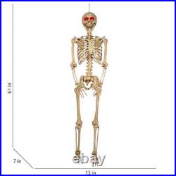 5'5 Halloween Poseable Human Size LED Lighted Skeleton Haunted Party Prop Decor
